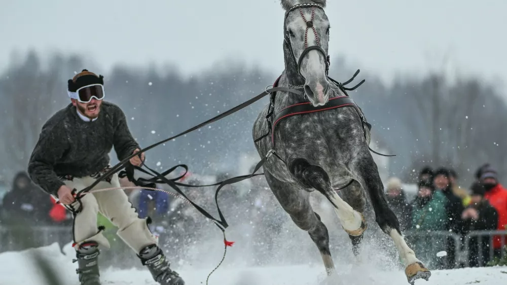 Tekmovalec in konj v akciji med tekmo v skijoringu februarja letos na Poljskem.&nbsp;/ Foto: Profimedia