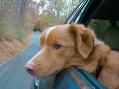 Menda že snujejo nadaljevanje filma, tako da se mu obeta &scaron;e več pribolj&scaron;kov pred kamerami. / Foto: Profimedia
