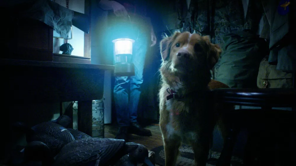 Njegova igra je navdu&scaron;ila, pri tem pa so si pomagali s &scaron;tevilnimi triki. / Foto: Profimedia