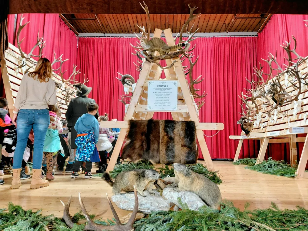 Lovci opozarjajo na nedopustna nočna lomastenja v gozdu