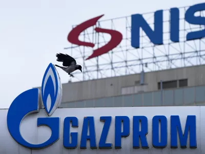 A raven flies between the NIS "Naftna industrija Srbije" (Petroleum Industry of Serbia) on an office building and the Gazprom company logo at a petrol station in Belgrade, Serbia, Sunday, Nov. 23, 2025. (AP Photo/Darko Vojinovic)