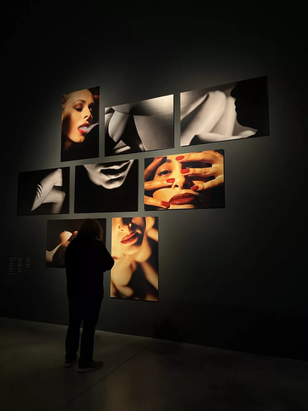 Ne le filmski, tudi likovni svetovi Davida Lyncha