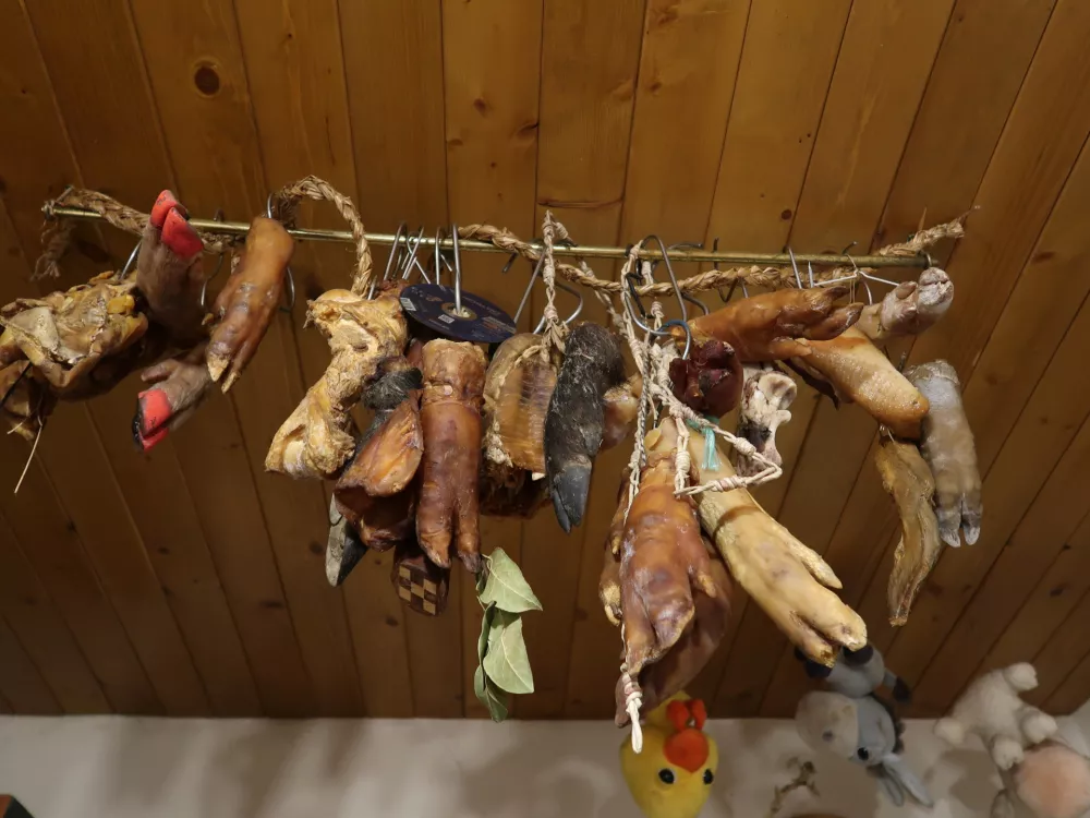 Laufarija Cerkno. Laufarkomanda, priprave napustovanje, laufarji, 70-obletnica ponovne oživitve &scaron;ege, pustne &scaron;ege, Cerkljanska / Foto: Nata&scaron;a Bucik Ozebek