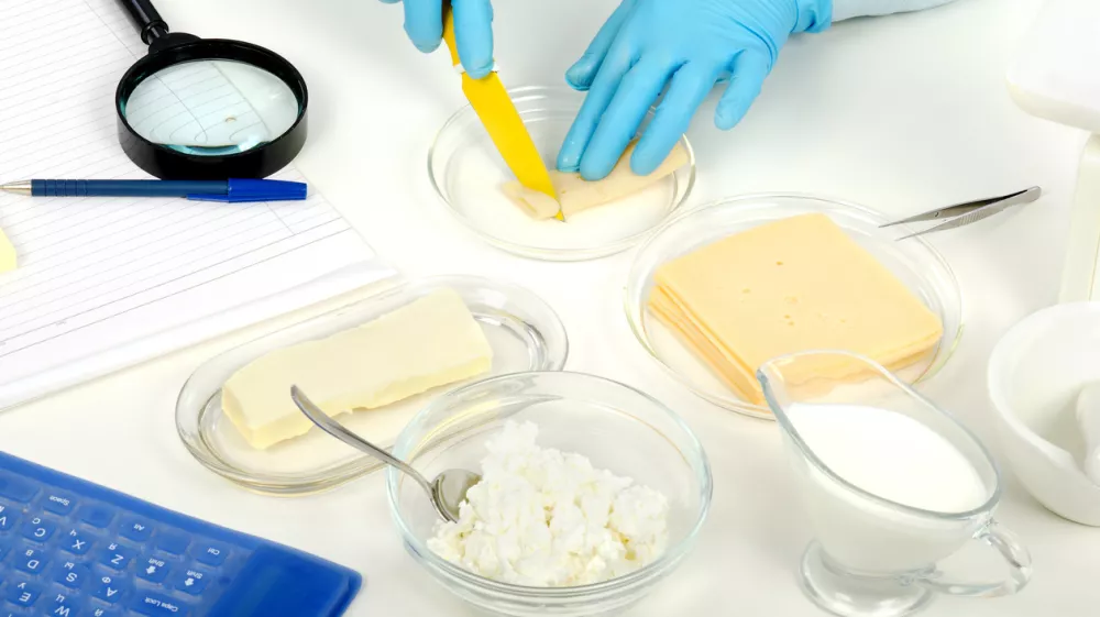 Expert hands cutting a cheese slice in phytocontrol laboratory