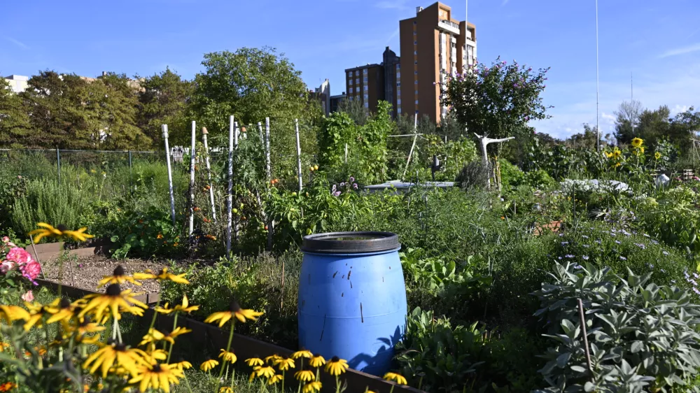 Novi vrtički bodo na Grbi
