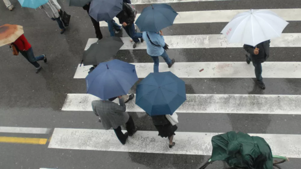 Deževje &ndash; dežnik,  // FOTO: Jaka AdamičOPOMBA: ZA OBJAVO V ČASOPISU DNEVNIK