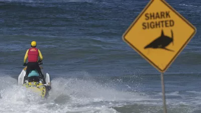 A surf lifesaver patrols a beach on a jetski following a fatal shark attack at Dee Why Beach in Sydney, Australia, Saturday, Sept. 6, 2025. (AP Photo/Mark Baker)