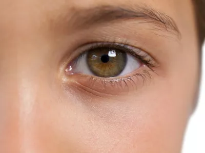 Simbolična fotografija: Profimedia