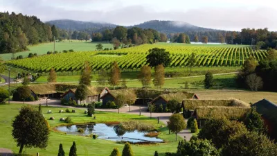 na &Scaron;vedskem prevladujejo odporne sorte, za najpomembnej&scaron;o velja solaris, večina vinogradov pa je skoncentriranih na jugu države. F visitsweden.com