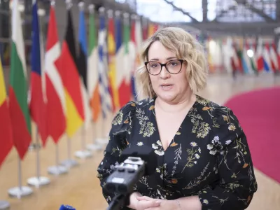 Belgija, Bruselj.Drzavna sekretarka na MZEZ Neva Grasic se je udelezila zasedanja ministrov za evropske zadeve v Bruslju.