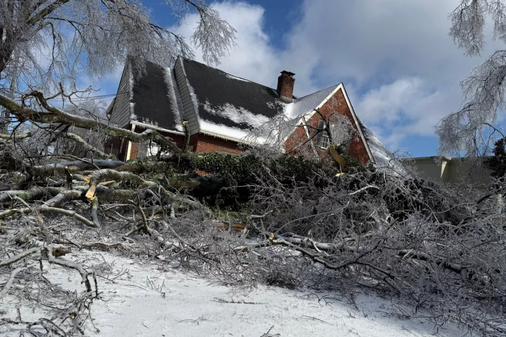 A tree downed by ice rests in a front yard just feet from a house in Nashville, Tenn., Monday, Jan. 26, 2026. (AP Photo/Travis Loller)