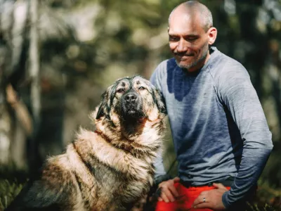 Zapu&scaron;čeni psi in mačke na ulici: zaveti&scaron;ča zakon sili, da izbirajo, komu bodo pomagali