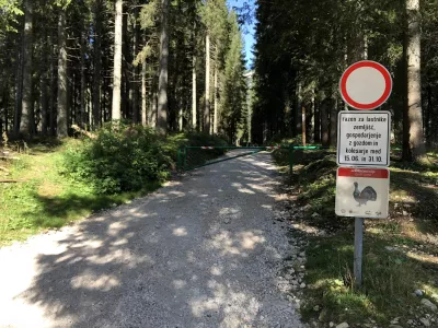 Triglavski narodni park: vlada o novem direktoru