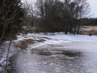 A pond where neighbors say three young boys died after falling into the water is seen Tuesday, Jan. 27, 2026, in Bonham, Texas. (AP Photo/Julio Cortez)