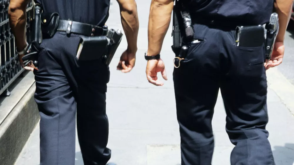 Ameri&scaron;ka policista