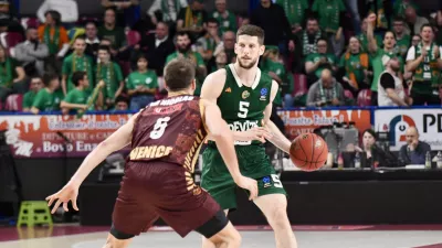Aleksej Nikolić, Cedevita Olimpija