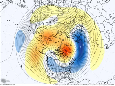 Pogled na svet s perspektive severnega pola. / Foto: Ecmwf
