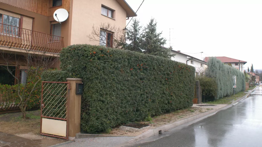 hi&scaron;a, živa meja