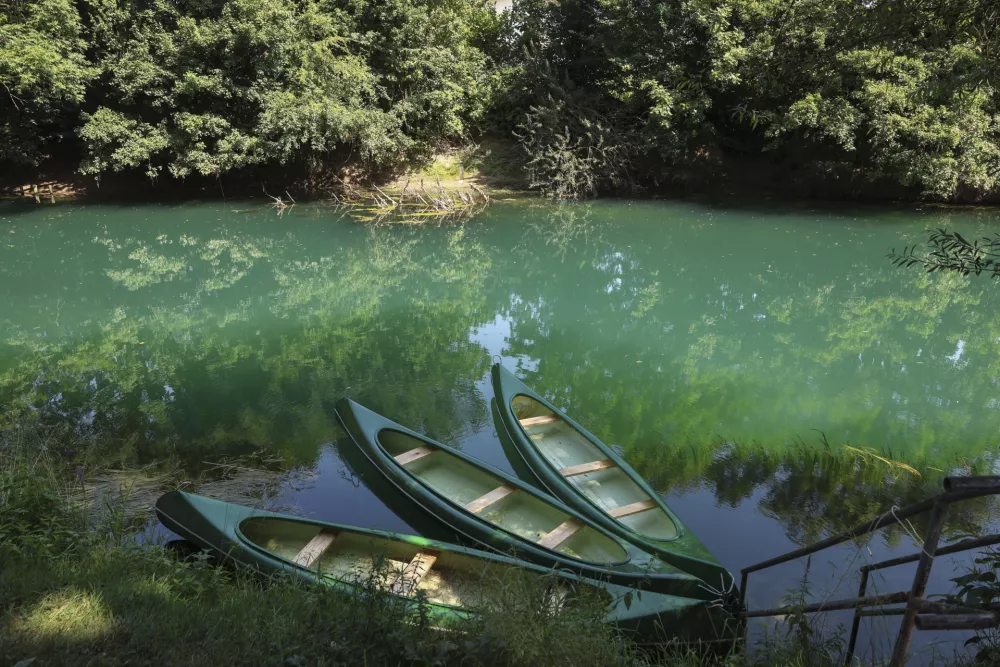S turistično ladjico tudi v Krajinskem parku Barje