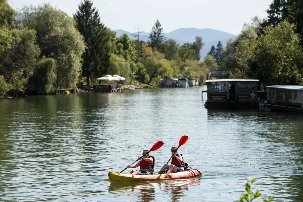 S turistično ladjico tudi v Krajinskem parku Barje