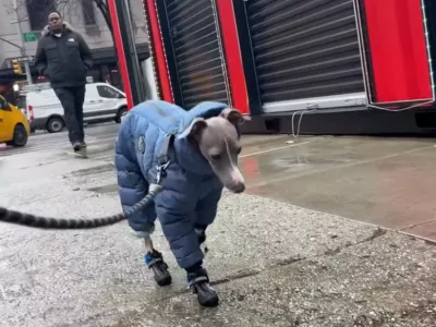 Med sprehodom po ulicah New Yorka / Foto: Instagram