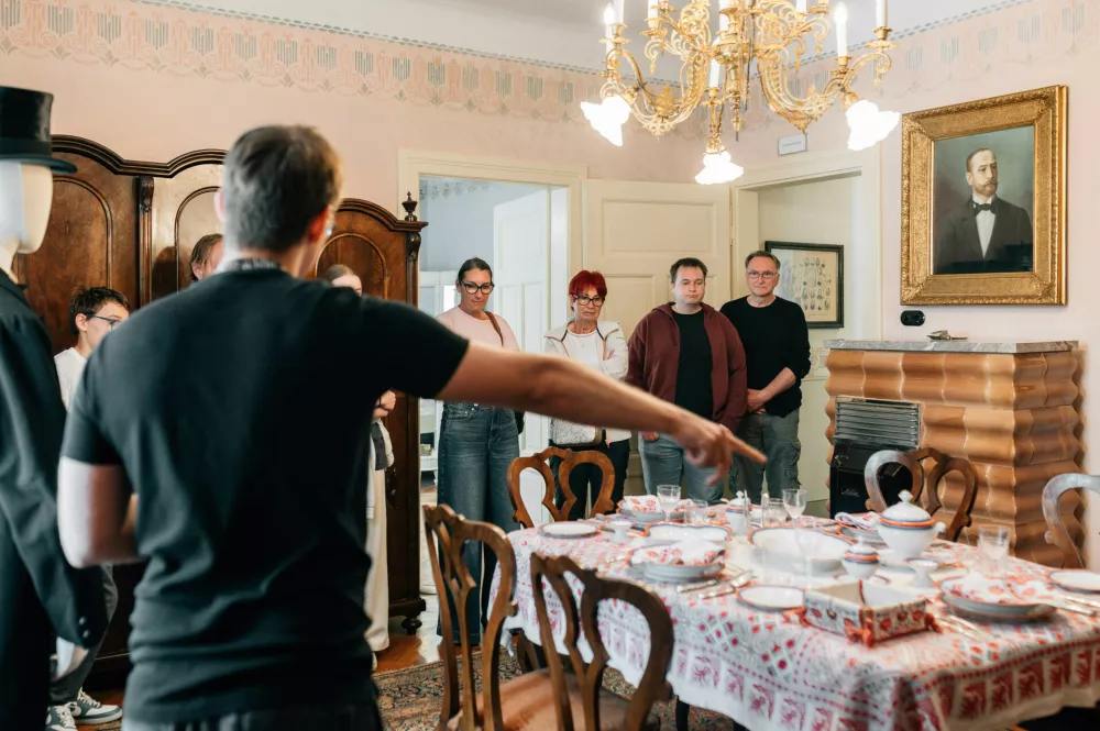 Vila Zlatica v Rožni dolini. / Foto: Mglc