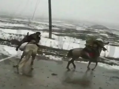 Zaradi pomanjkanja mehanizacije morajo Rusi v Ukrajini vse bolj računati na konje. 