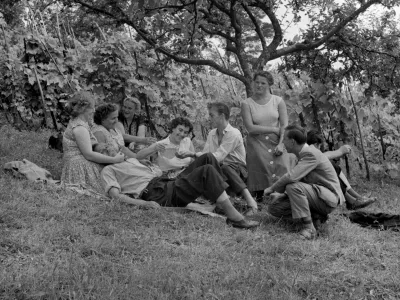 Leto 1959. Piknik med dolenjskimi vinogradi. 