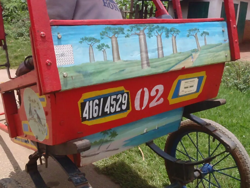 OLYMPUS DIGITAL CAMERA / Foto: Vane D. Fortič