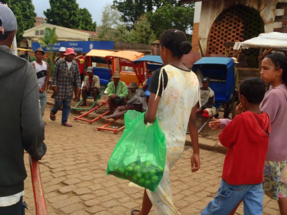 OLYMPUS DIGITAL CAMERA / Foto: Vane D. Fortič