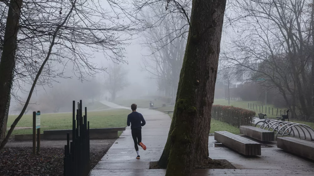 - 12.12.2025 - reportaža megla - Kose&scaron;ki bajer//FOTO: Jaka Gasar