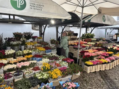 Cvetličarka Marina Idić