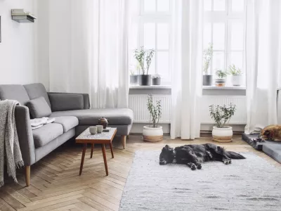 Stylish and modern scandinavian interior.