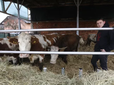 Veterinarska in&scaron;pektorica Danu&scaron;a &Scaron;tiglic je morala spet v &ldquo;malo &scaron;olo&rdquo;