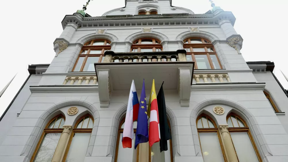 Novo mesto žalovanje