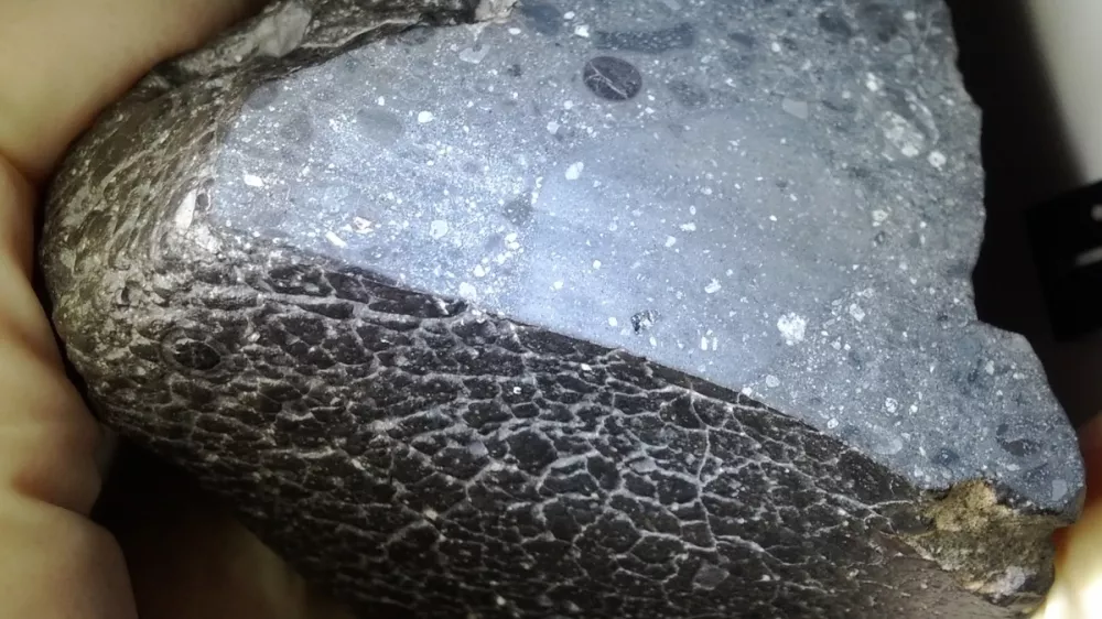 Črna lepotica / Foto: Nasa