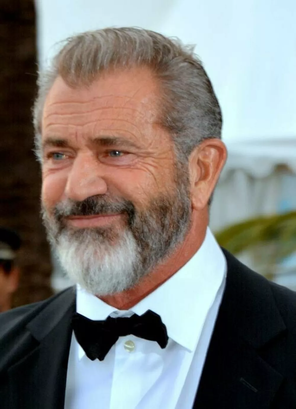Mel Gibson / Foto: Georges Biard