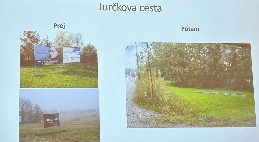 Ocenjujejo, da je po mestu &scaron;e 1500 nelegalnih oglasnih objektov. F &Scaron;pela Ferlin