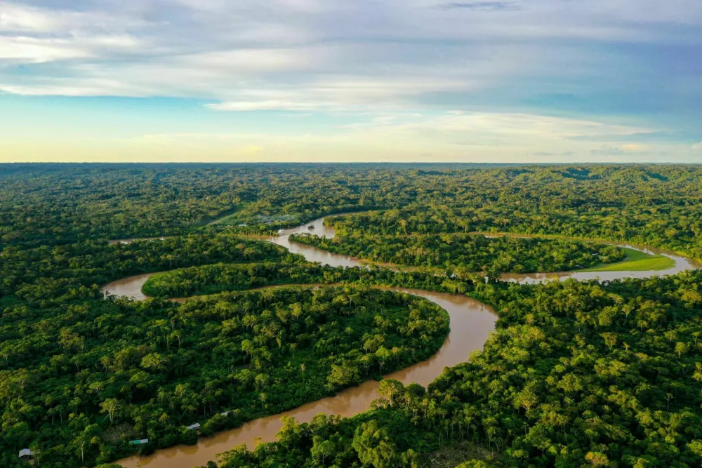Aerial view over a tropical forest with a river in the amazon rainforest / Foto: Jarnoverdonk