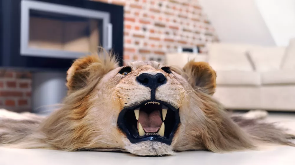 lev v dnevni sobi / Foto: Er09