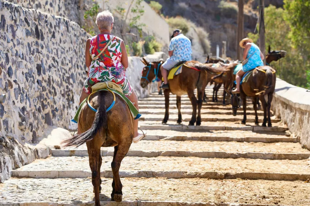 Na Santoriniju so prepovedali jahanje oslov turistom (in domačinom), ki so težji od sto kilogramov. / Foto: Guliverimage