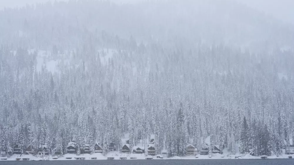 Snow comes down on a forest and cabins along Donner Lake during a storm Thursday, Feb. 19, 2026, near Truckee, Calif. (AP Photo/Godofredo A. V&aacute;squez)