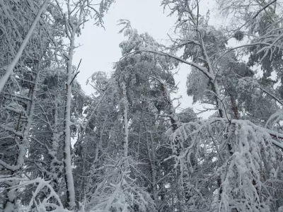 Murska Sobota.Snegolom.Foto: Zavod za gozdove RS