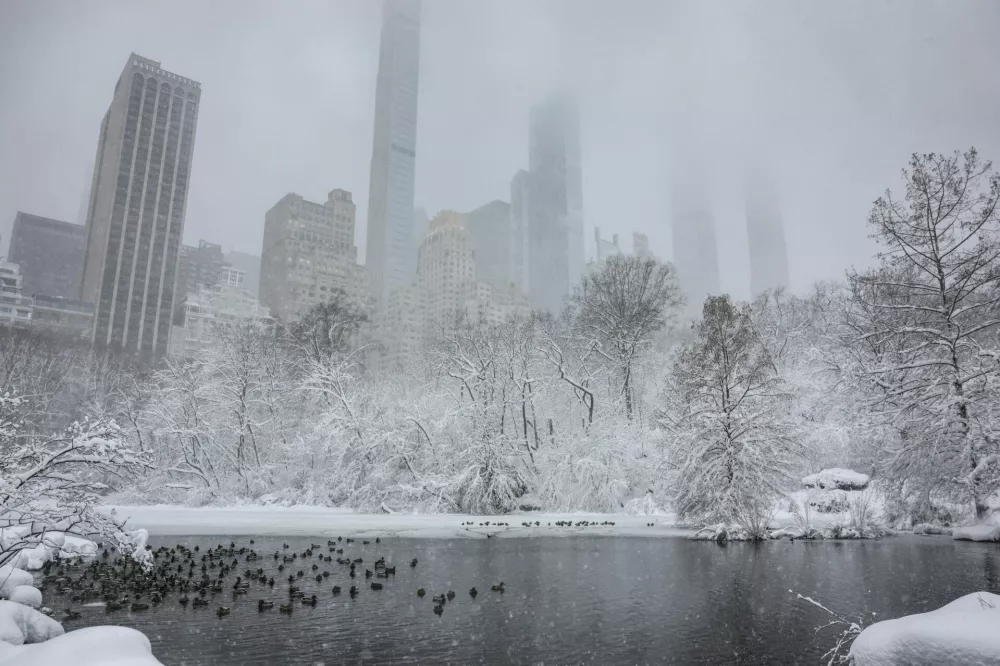Birds rest near the Gapstow Bridge in Central Park as snow falls during a winter storm in New York City, U.S., February 23, 2026. REUTERS/Jeenah Moon