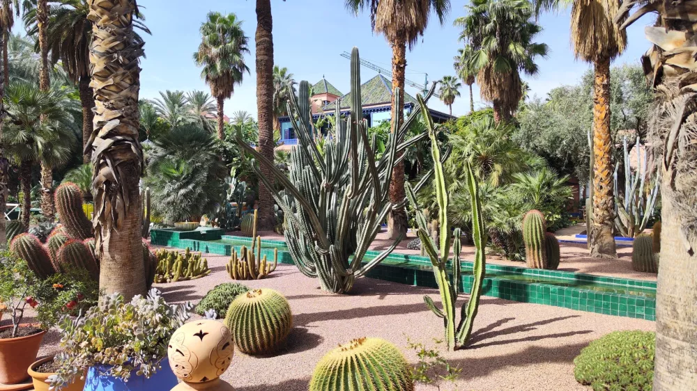 Botanični vrt Majorelle v Marake&scaron;u