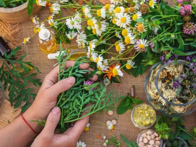 Zeli&scaron;ča in &scaron;e marsikaj drugega nam lahko koristi &hellip; toda ne vedno. / Foto: Istock