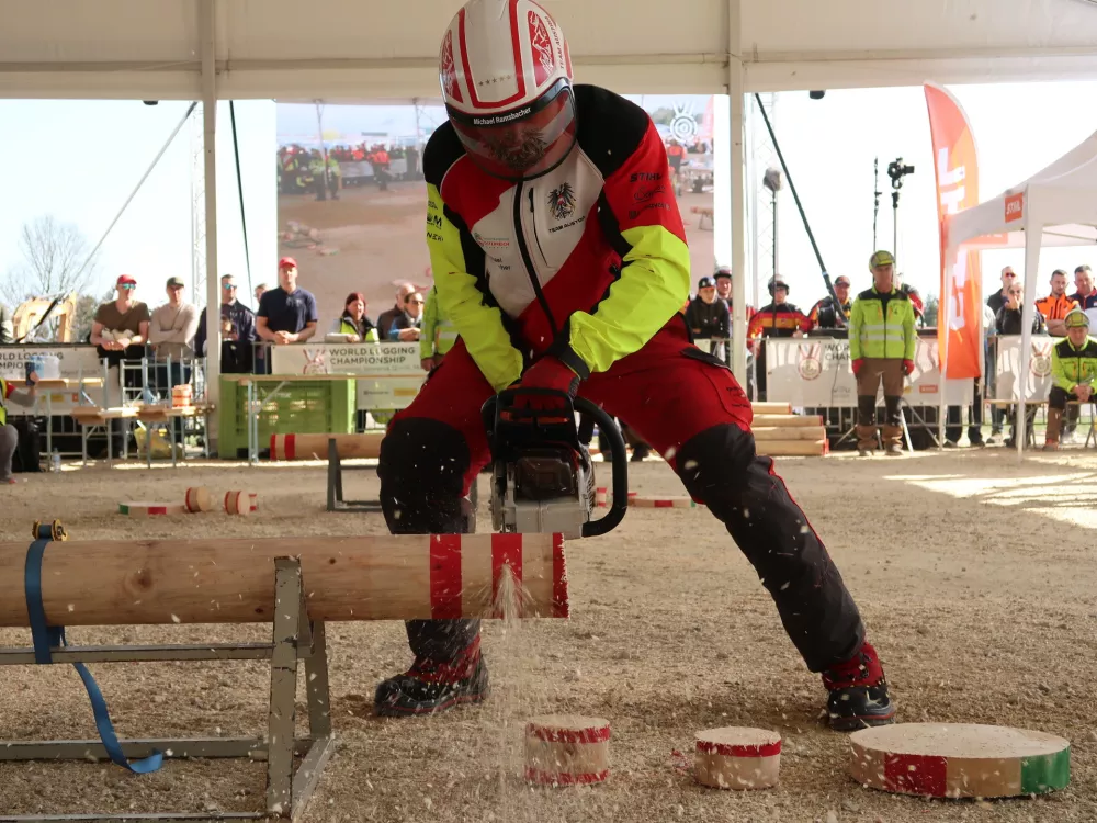 Svetovno gozdarsko prvenstvo, marec 2026, &Scaron;entjernej, gozdarji, gozd, motorka, podiranje dreves / Foto: Nata&scaron;a Bucik Ozebek