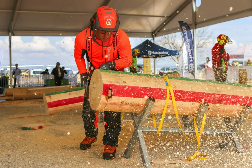 Svetovno gozdarsko prvenstvo, marec 2026, &Scaron;entjernej, gozdarji, gozd, motorka, podiranje dreves / Foto: Matej Pov&scaron;e/sidg