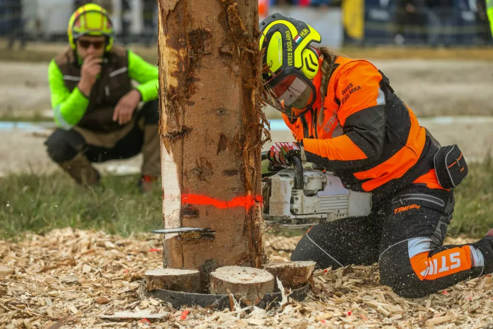 Svetovno gozdarsko prvenstvo, marec 2026, &Scaron;entjernej, gozdarji, gozd, motorka, podiranje dreves / Foto: Matej Pov&scaron;e/sidg