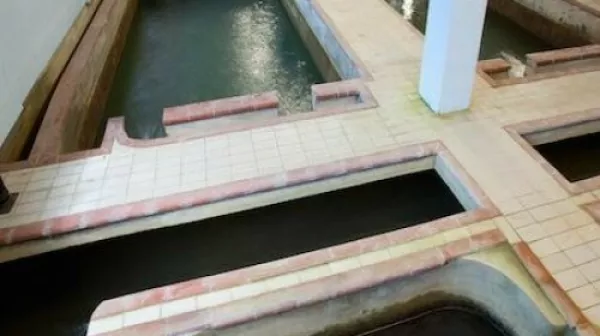 Rižanski vodovod, rižana 